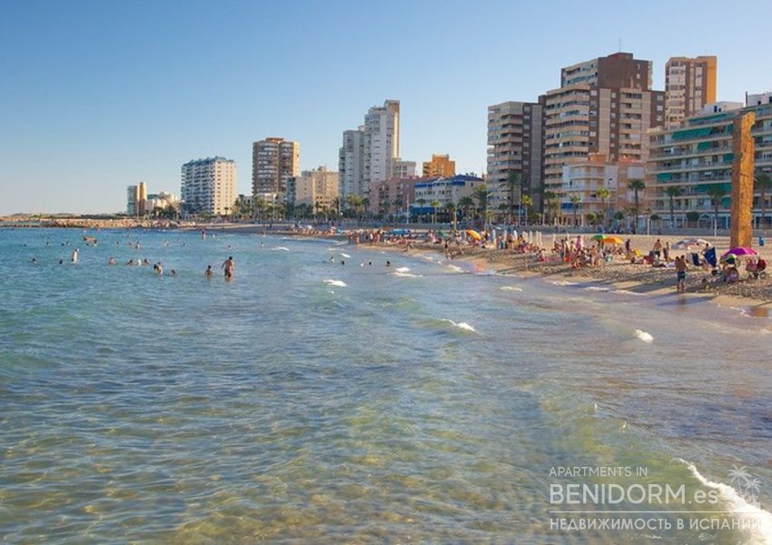 строительство в Alicante, продажа
