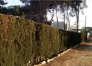 Вилла в Moraira, продажа