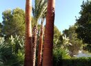 Вилла класса люкс в Altea, Altea Hills, продажа