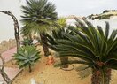 Вилла класса люкс в Calpe / Calp, продажа