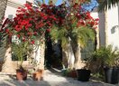 Вилла в Torrevieja, La mata, продажа