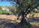 Вилла в Calpe / Calp, продажа