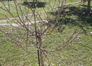 Вилла в Teulada, продажа